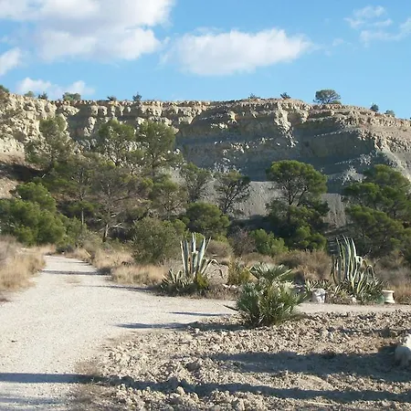 Mas Del Conill