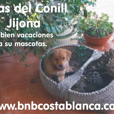 Bed & Breakfast Mas Del Conill 2*